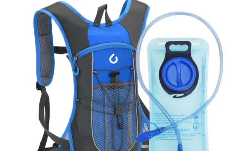 School Backpack