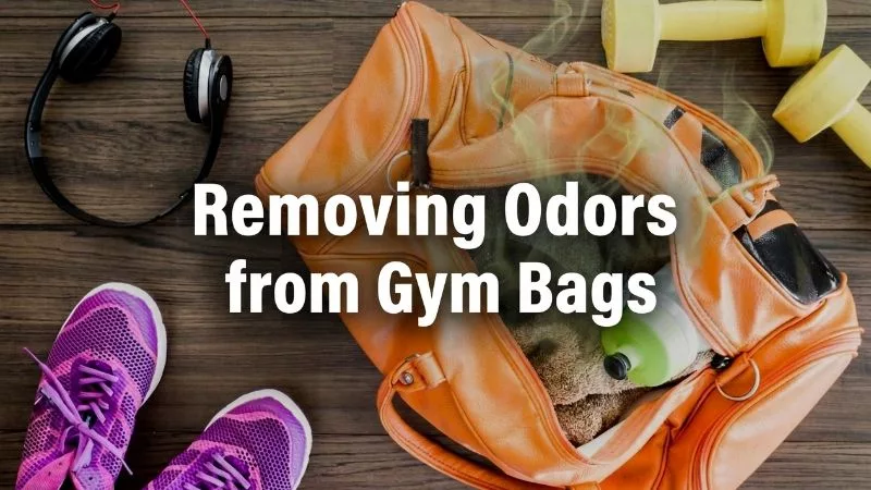 How to Profit by Removing Odors from Gym Bags with Best ROI?