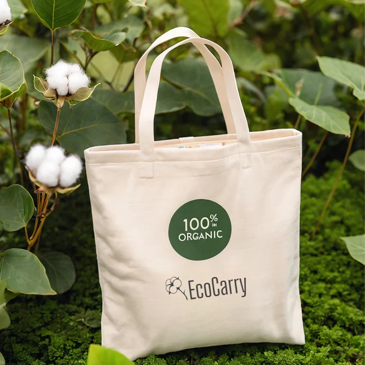 EcoCarry Case Study: Sustainable Sourcing Cut Costs 30% Now