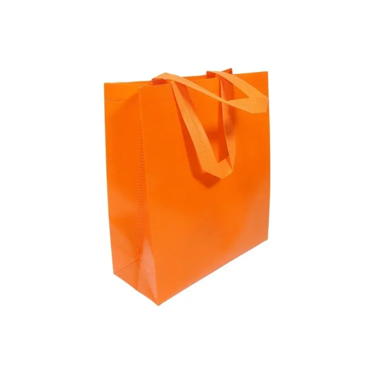 NON-WOVEN GIFT BAGS